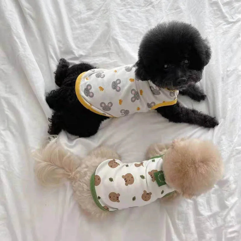 Regatinha Pet Animais
