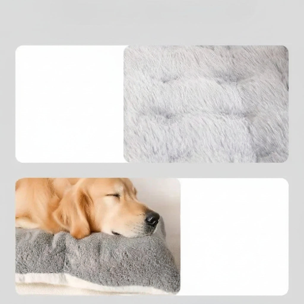 Cama Pet Colchão Blissem