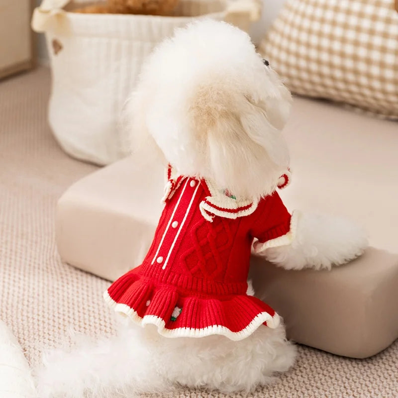 Vestido Pet Encanto