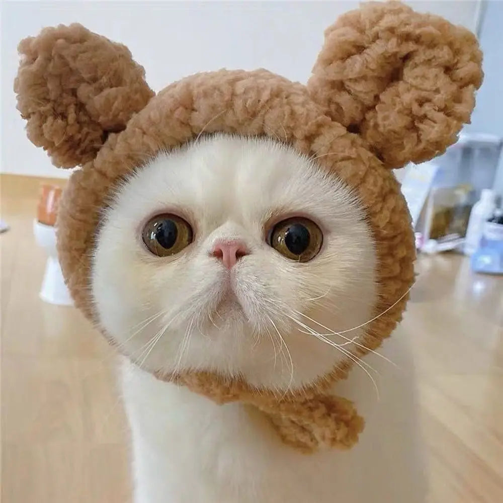 Gorrinho Pet Ursinho