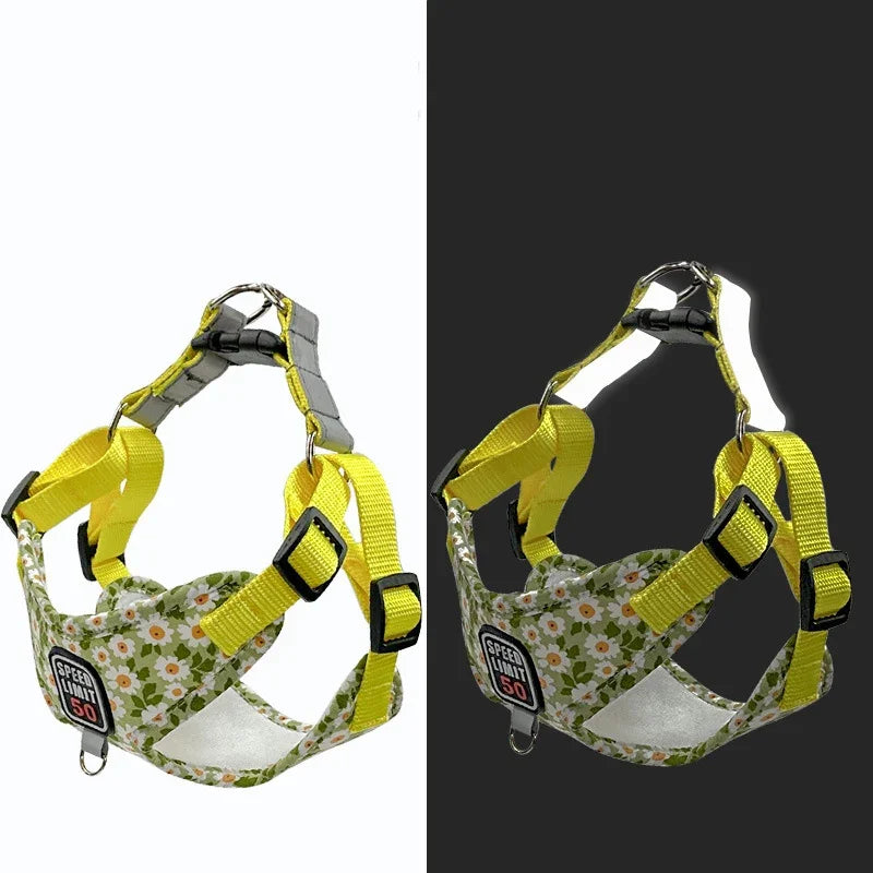 Coleira & Guia Pet Hannis