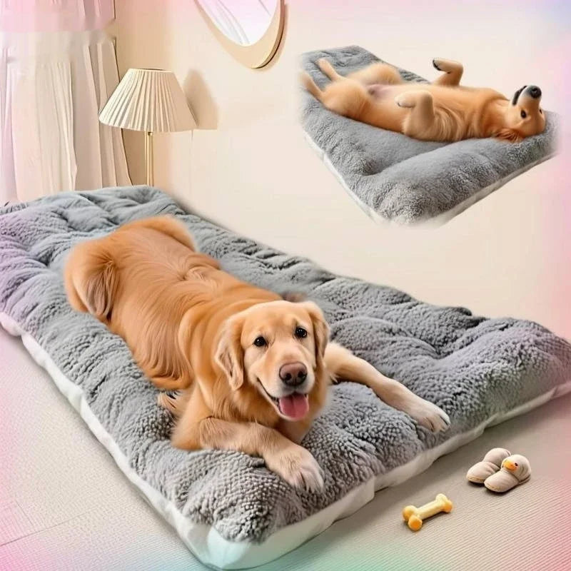Cama Pet Colchão Blissem
