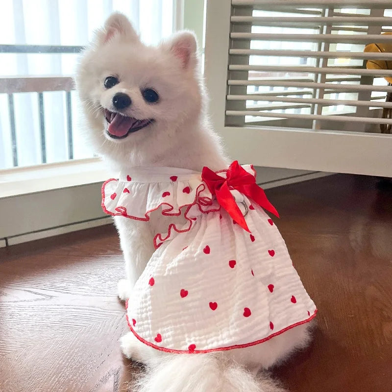 Vestido Pet Namy