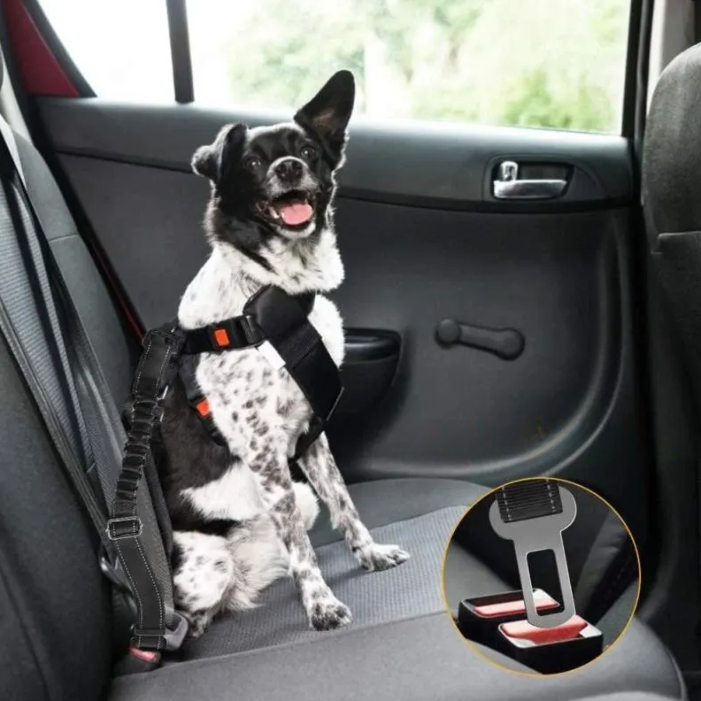 Cinto de Segurança SeguraPet 2 em 1 (Fivela Padrão + Gancho ISOFIX)