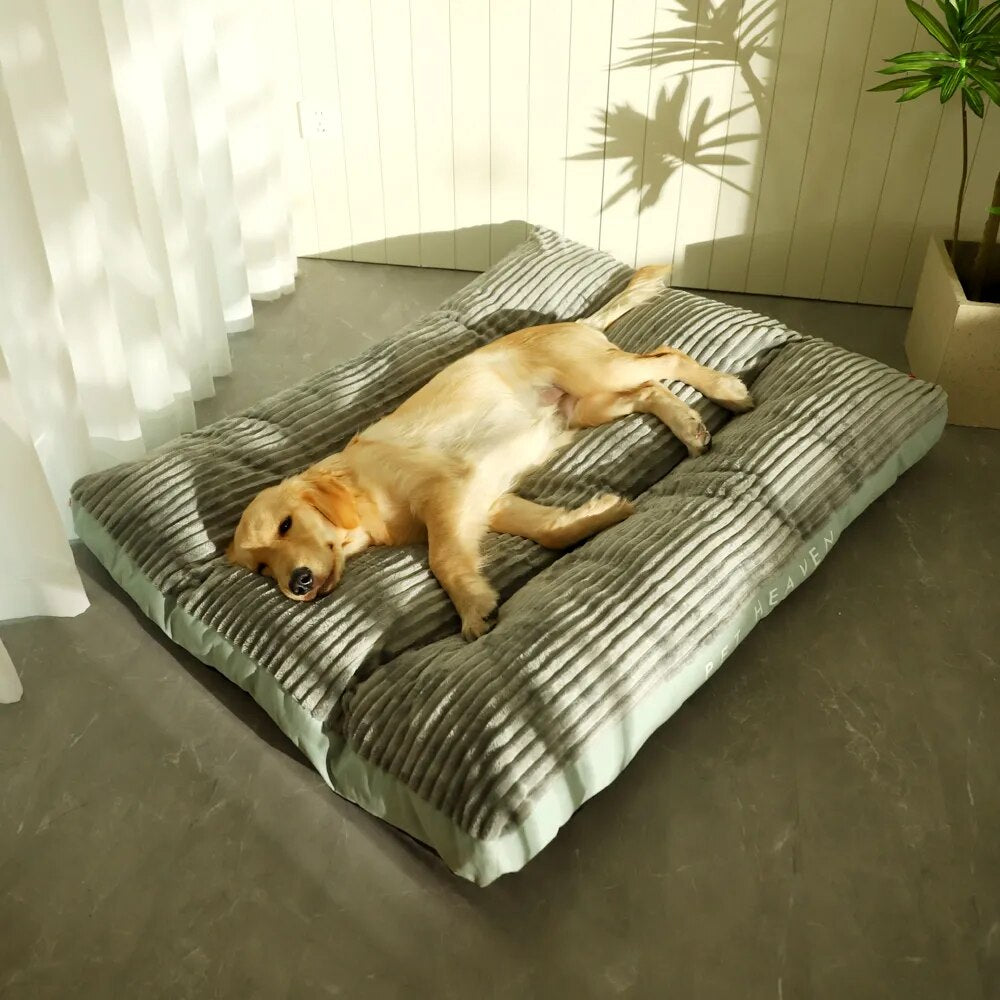 Cama Pet Grande Kansas