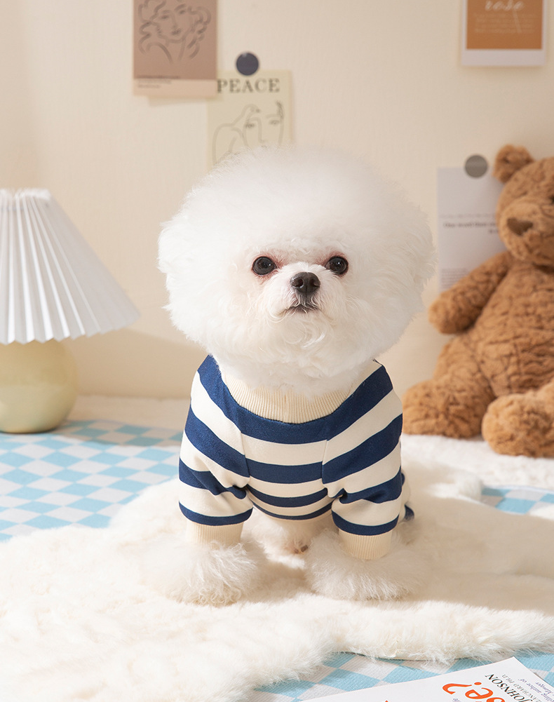 Macacão Pet Bear