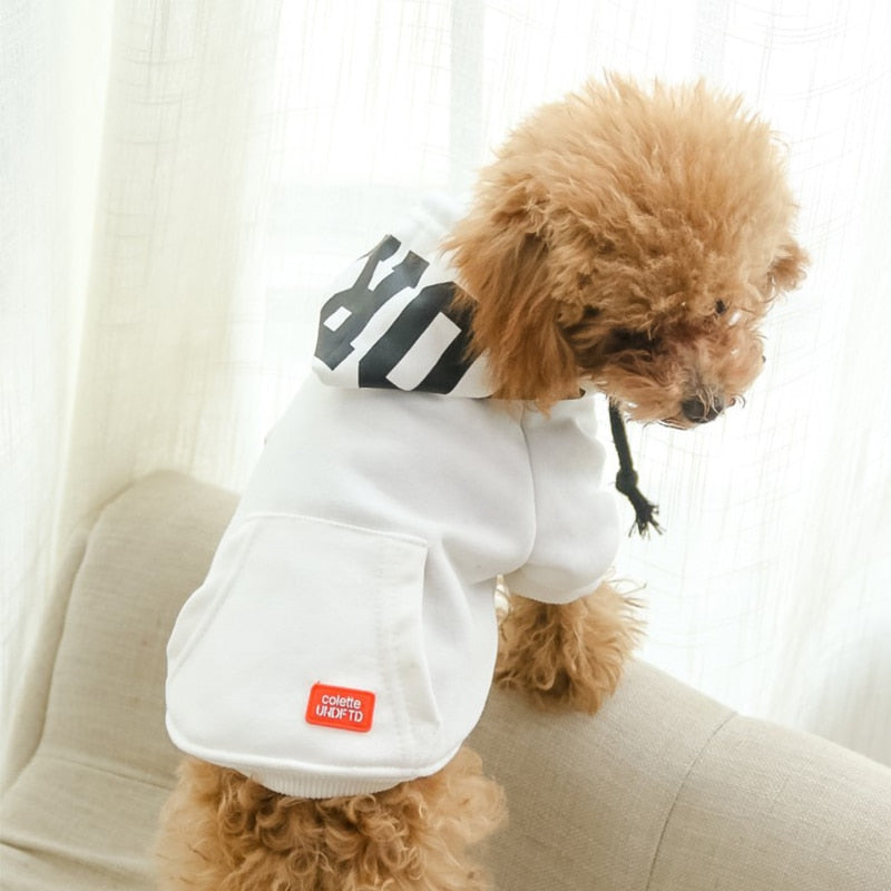 Moletom Pet Moscou