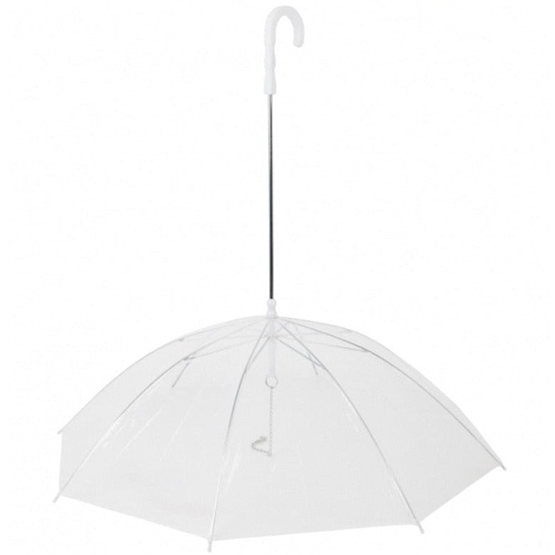 Guia com Guarda-chuva Tour