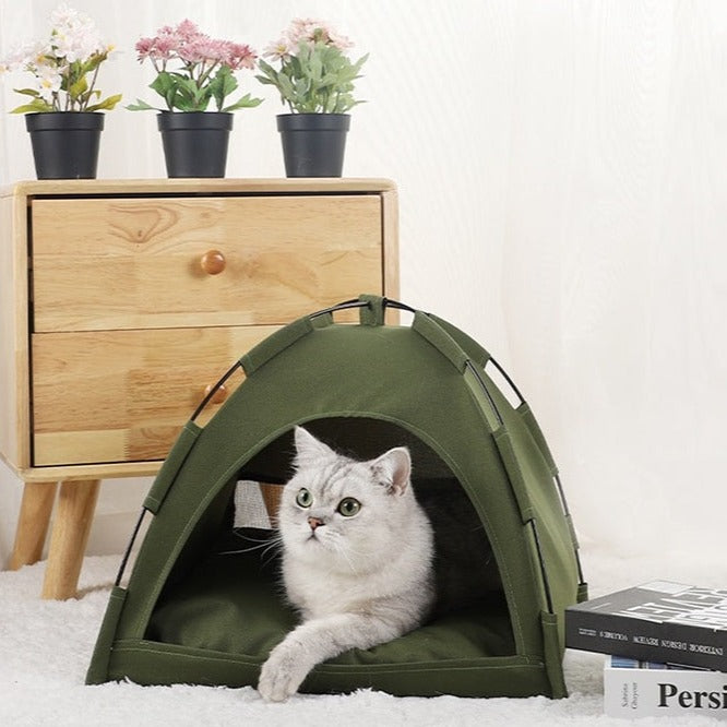 Tenda Pet Barraquinha